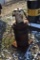 Air Grease Barrel