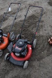 Troy Bilt 21