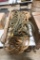 Lot of Misc Rope