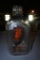 Begeacres of Ithaca New York Half Gallon Milk Bottle