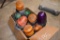 Box of 9 Various Color Caution Lights