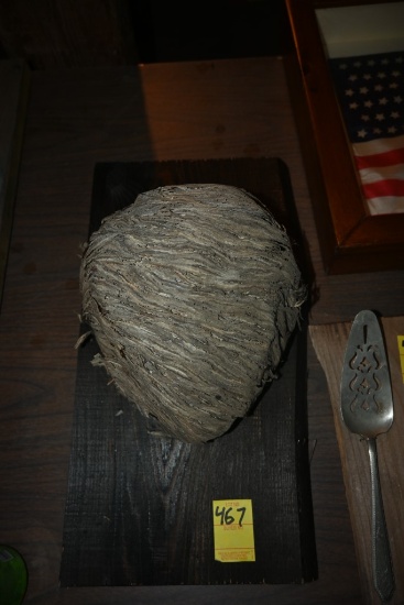 Wasp Nest on a Wooden Plaque