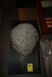 Wasp Nest on a Wooden Plaque