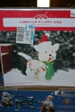 Light Fluffy Dog