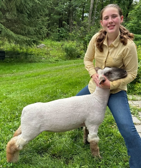 Molly Burke Market Lamb 449