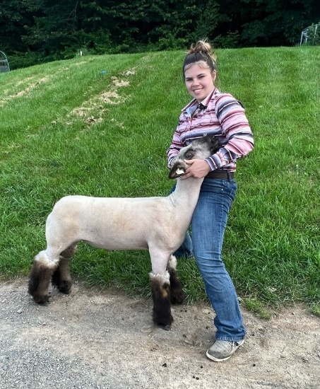 Alexis Sebring RESERVE GRAND CHAMPION Market Lamb 450