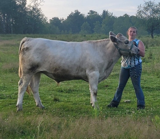 Emily Eccles RESERVE GRAND CHAMPION GRASS-FED MARKET STEER