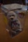 1999 Ty Beanie Baby Signature Bear