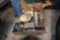 Group of Vintage Household Items