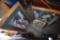 5 Decorative Prints in Frames