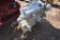 Deutz BF4M 2012 Take Out Diesel Engine