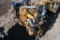 2017 Caterpillar C3.3B Mechanical Direct Injection Engine