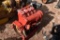 Deutz F4L912 Diesel Engine Take Out