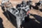 Fiat FPT 3.4L 854F-E34T Tier 4 Power Unit