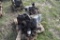Kubota 4 Cylinder Diesel Engine