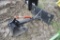 Quick Attach Backhoe