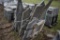 Pallet of irregular Stand Up Stone