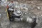 Wacker Neuson BS60-2i Jumping Jack Tamper