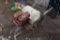 Goodall Start All 708 On wheel Barrow
