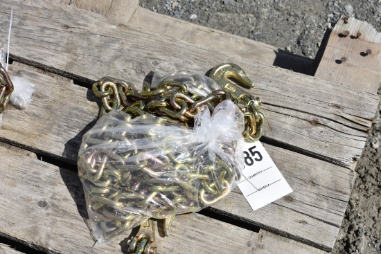 20' x 3/8" Chain with Hooks