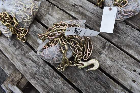 20' x 3/8" Chain with Hooks