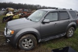 2010 Ford Escape Limited