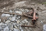 Group of PTO Shaft