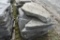 Pallet of Landscape Rock