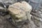 Pallet of 2 Landscape Boulders