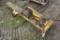 Danuser 3 Point Post Pounder