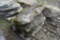 Pallet of 4 Landscape Boulders