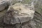 Landscape Boulder