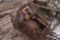 Metal Crate with 15 Ton Crane Hook, Probably a 25 Ton Crane Hook and Large Crane Pulley
