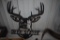 Deer Slayer Metal Sign