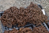 Pair of Double Ring Tire Chains
