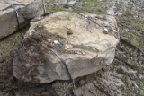 Landscape Boulder