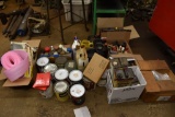 Large Group of Chemicals and Paint