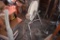 Antique Grinding Wheel
