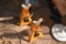 Two 3 Ton Jack Stands