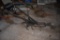 Antique Cultivator