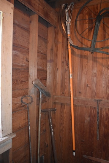 Limb Trimmer with broom and Metal Bars