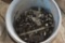5 Gallon Bucket of Nuts and Bolts