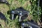 Miva Mini Excavator Quick Coupler