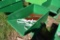 Mini Self Tipping Dumpster