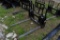 Kivel Quick Attach 4200 lb. Pallet Forks