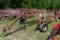 H&S 10 Star Wheel Rake
