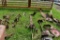 Group of Farmall Cub Attachments