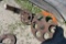 Gear Assembly for Manure Gutter System