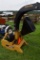 Pequea CX 550 High Speed Chipper