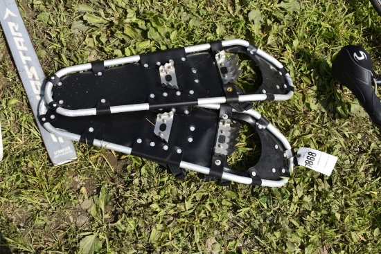 Pair of Snow Shoes